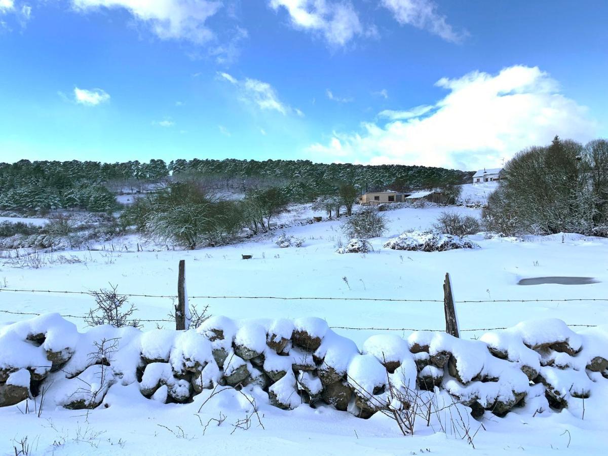 Willa Casa Urbion-Pinares De Soria Covaleda Zewnętrze zdjęcie
